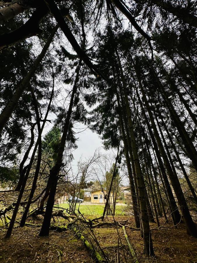 Ferienhaus Biber Godendorf  Экстерьер фото